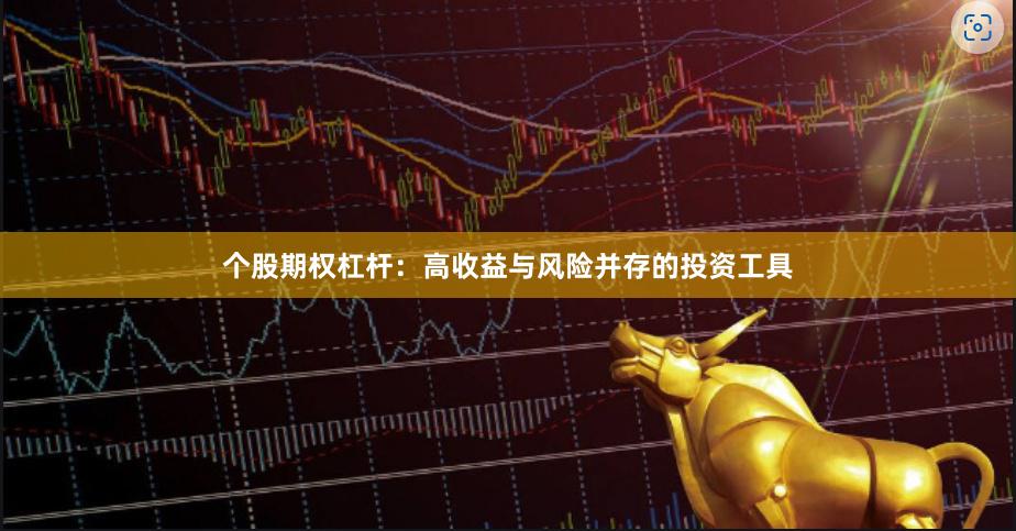 个股期权杠杆：高收益与风险并存的投资工具